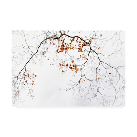 Trademark Fine Art Unknown Artist 'Sensitive' Canvas Art, 12x19 1X10024-C1219GG